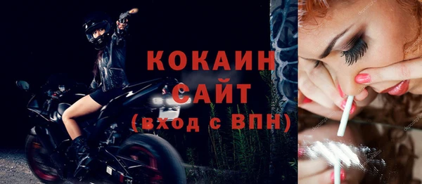 ГАЛЛЮЦИНОГЕННЫЕ ГРИБЫ Аркадак