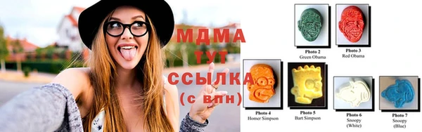 ГАЛЛЮЦИНОГЕННЫЕ ГРИБЫ Аркадак