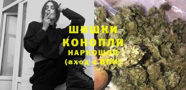 ГАЛЛЮЦИНОГЕННЫЕ ГРИБЫ Аркадак