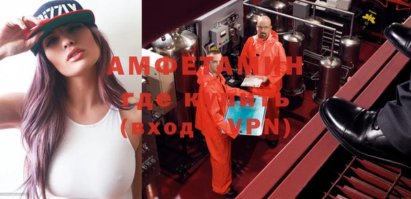 ГАЛЛЮЦИНОГЕННЫЕ ГРИБЫ Аркадак